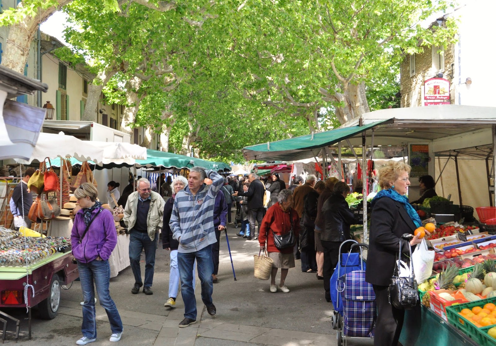Our House in Provence, the Most Beautiful Region of France SainteCécilelesVignes, home to