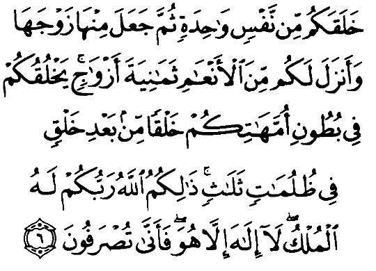 Teks Bacaan Surat Az Zumar Arab Latin dan Terjemahannya