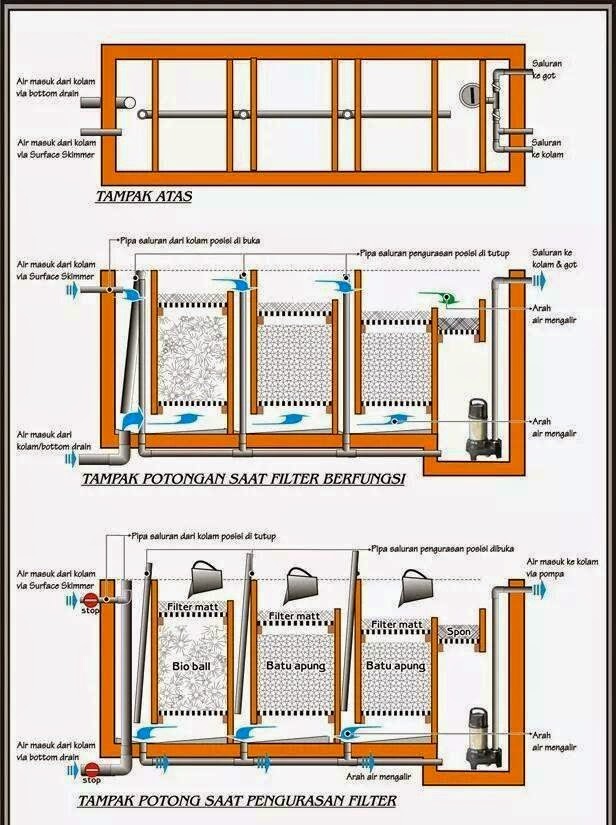 Cara Membuat Filter Kolam Koi Minimalis