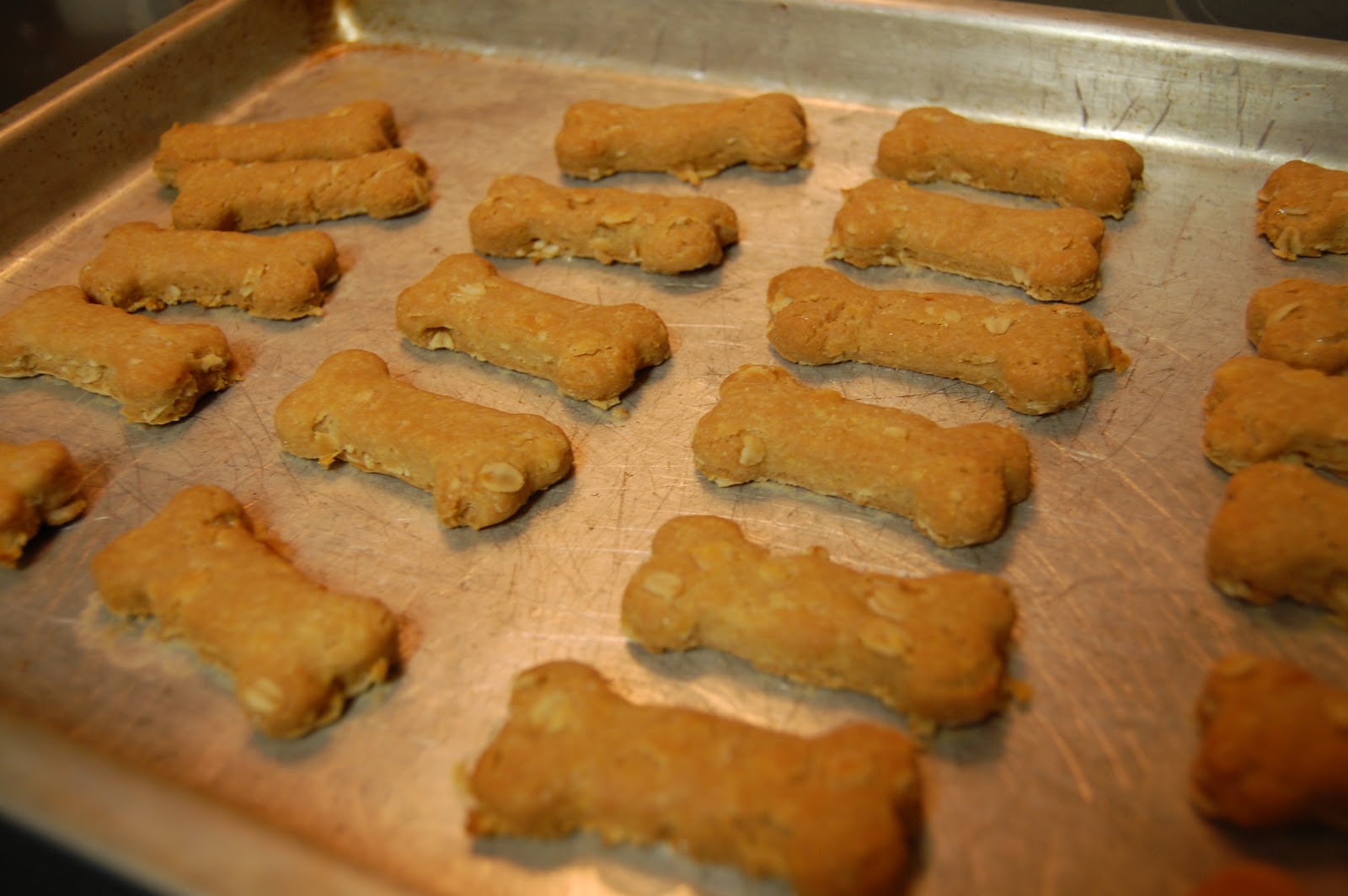Tshirts and Glitter: Homemade Dog Treats