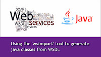 How to parse a WSDL file using 'wsimport' tool and generate java classes?