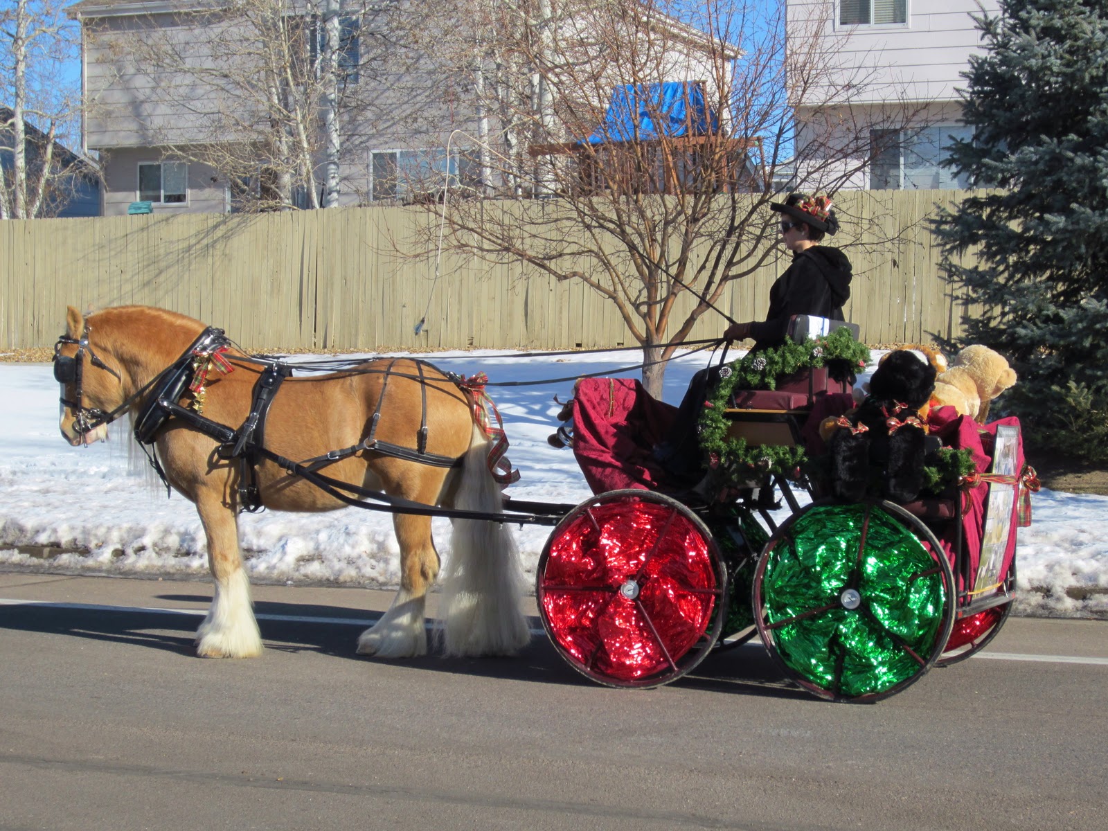 Moondance Ranch Christmas Parade