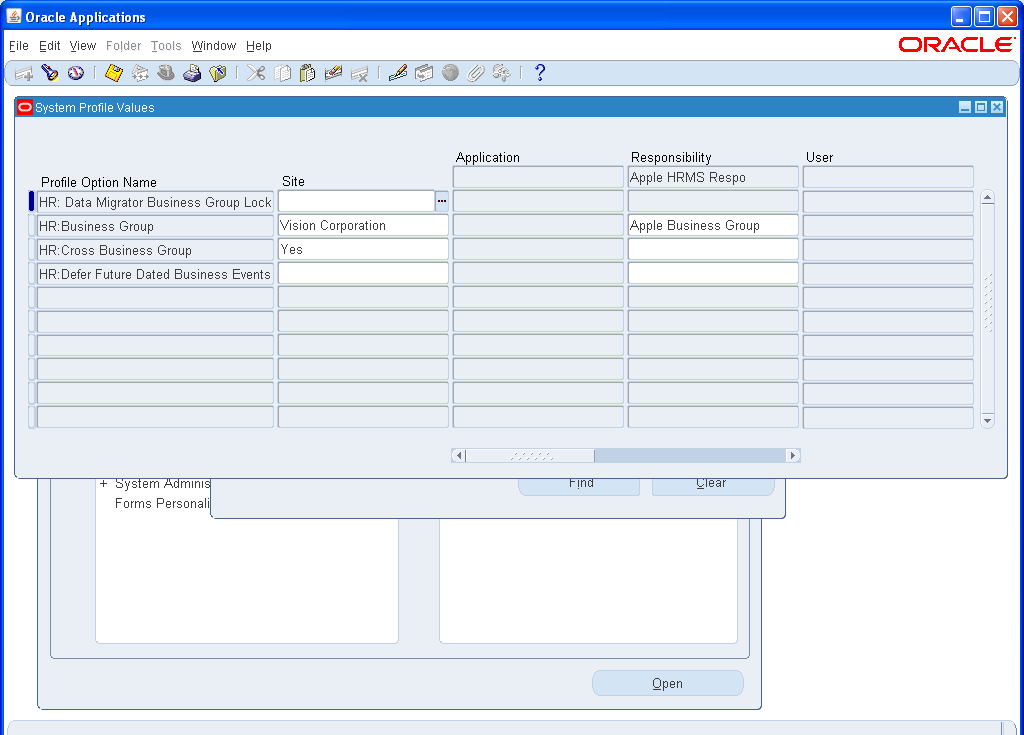 Oracle E-Business Suite R12 Financials: Defining Multi Organization