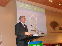 El Consejero D. Francisco Álvarez de La Chica durante un instante de su discurso.