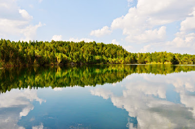 reflection of trees and clouds in a calm lake