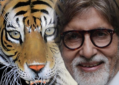 Amitabh Bachchan As Tiger Ambassador