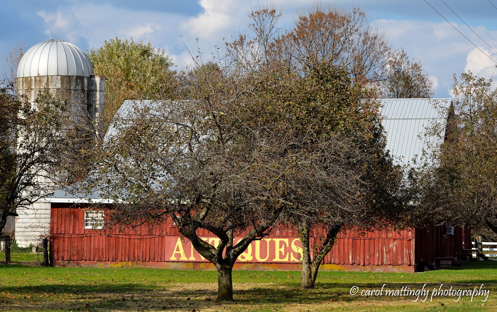 Carol Mattingly Photography Barns Of Kentucky