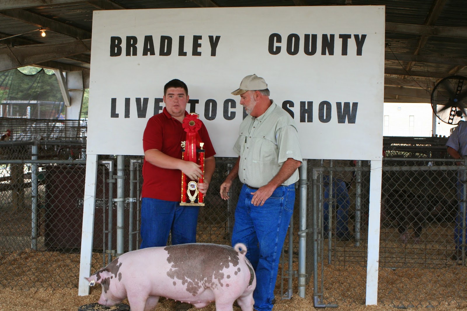 Saline River Chronicle News Bradley County Junior Livestock Exhibitor