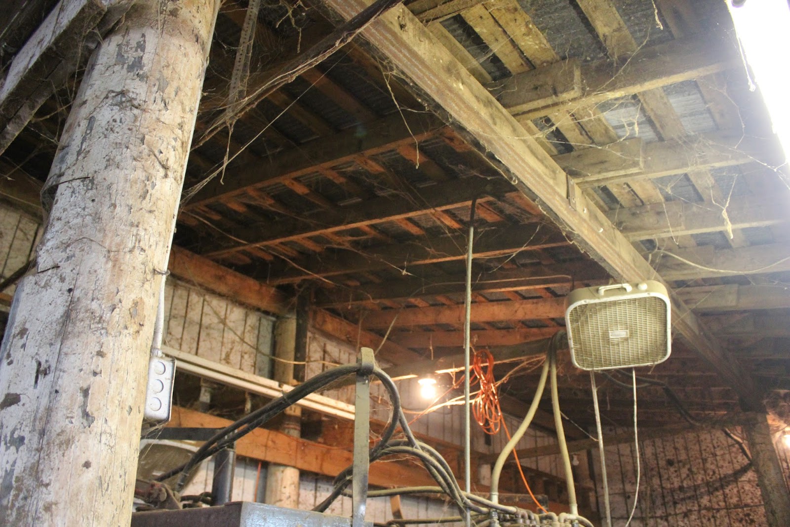 Snug Harbor Bay Livingston Livestock Auction