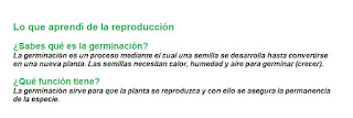 Respuestas Apoyo Primaria Ciencias Naturales 4to Grado Bloque II Tema 1 Diversidad en la reproducción 
