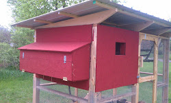 coop chicken ever nest boxes outside garden door ain simple easy