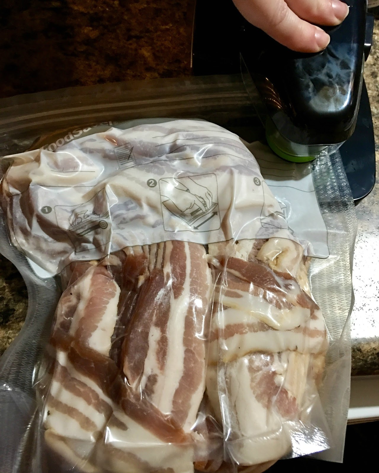 Stacy Talks & Reviews FoodSaver Vacuum Sealing System