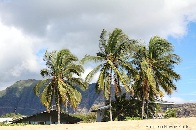 sunrisemakeshawaii,makaha,oahu,hawaii,la plage,montagne,désert,palmiers