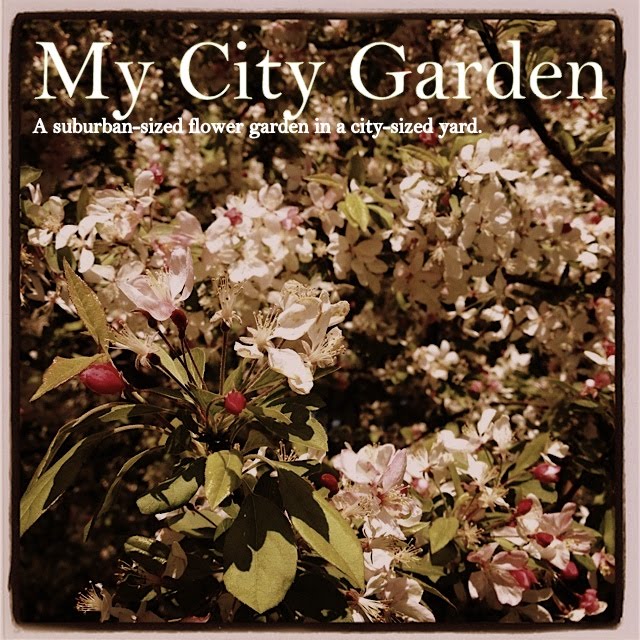 My City Garden