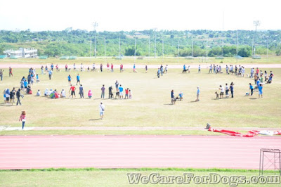 Participants with their dogs making a circle at the field - Philippine Dog Festival 2014 - December 12, 2014 Participants with their dogs making a circle at the field - Philippine Dog Festival 2014 - December 12, 2014