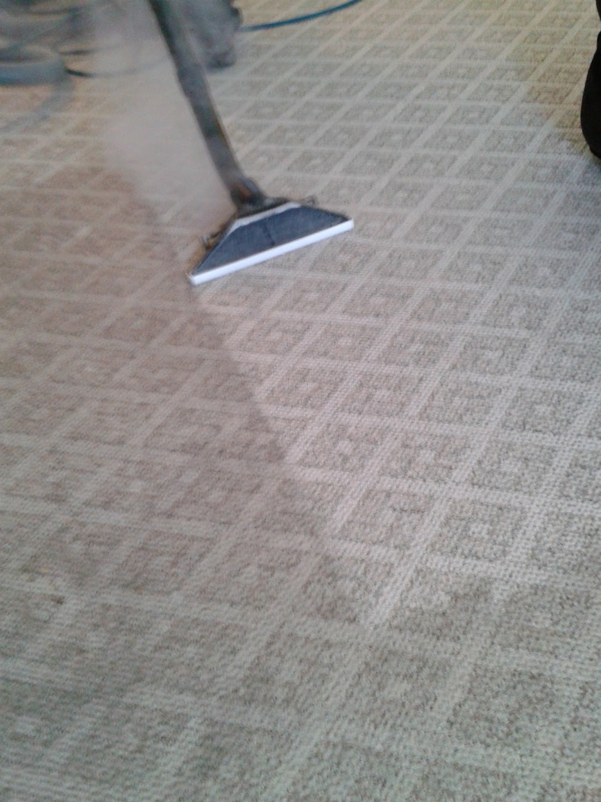 CARPET TILE UPHOLSTERY CLEANING JACKSON NJ