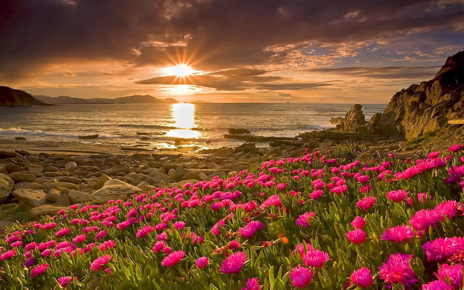 Spring Poze Poze Cu Dragoste: Spring Wallpapers (Poze de primăvară)