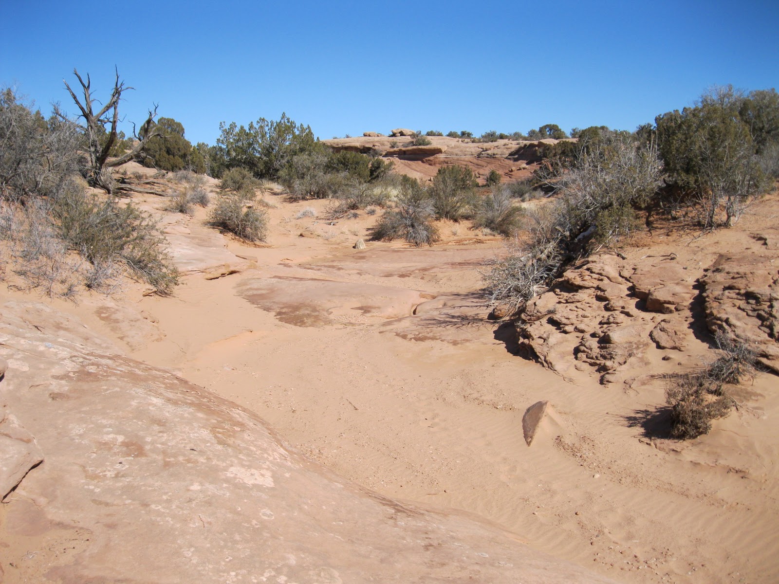 Four Corners HikesArches National Park Willow Springs Trail and