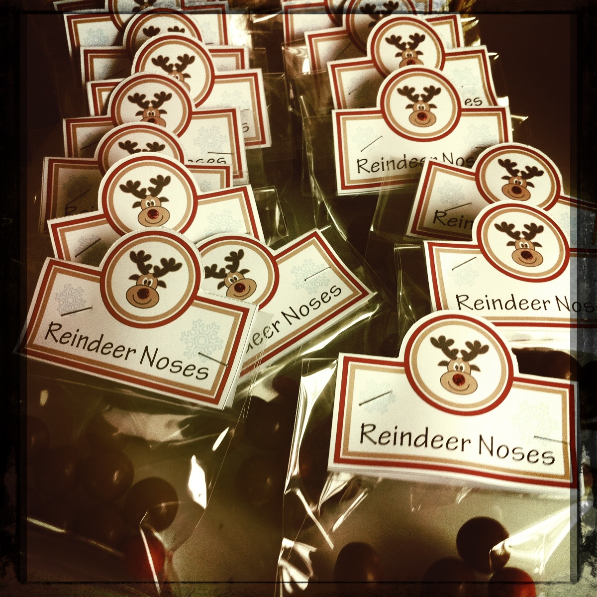 100 days to Christmas  reindeer noses  Life Behind The Purple Door