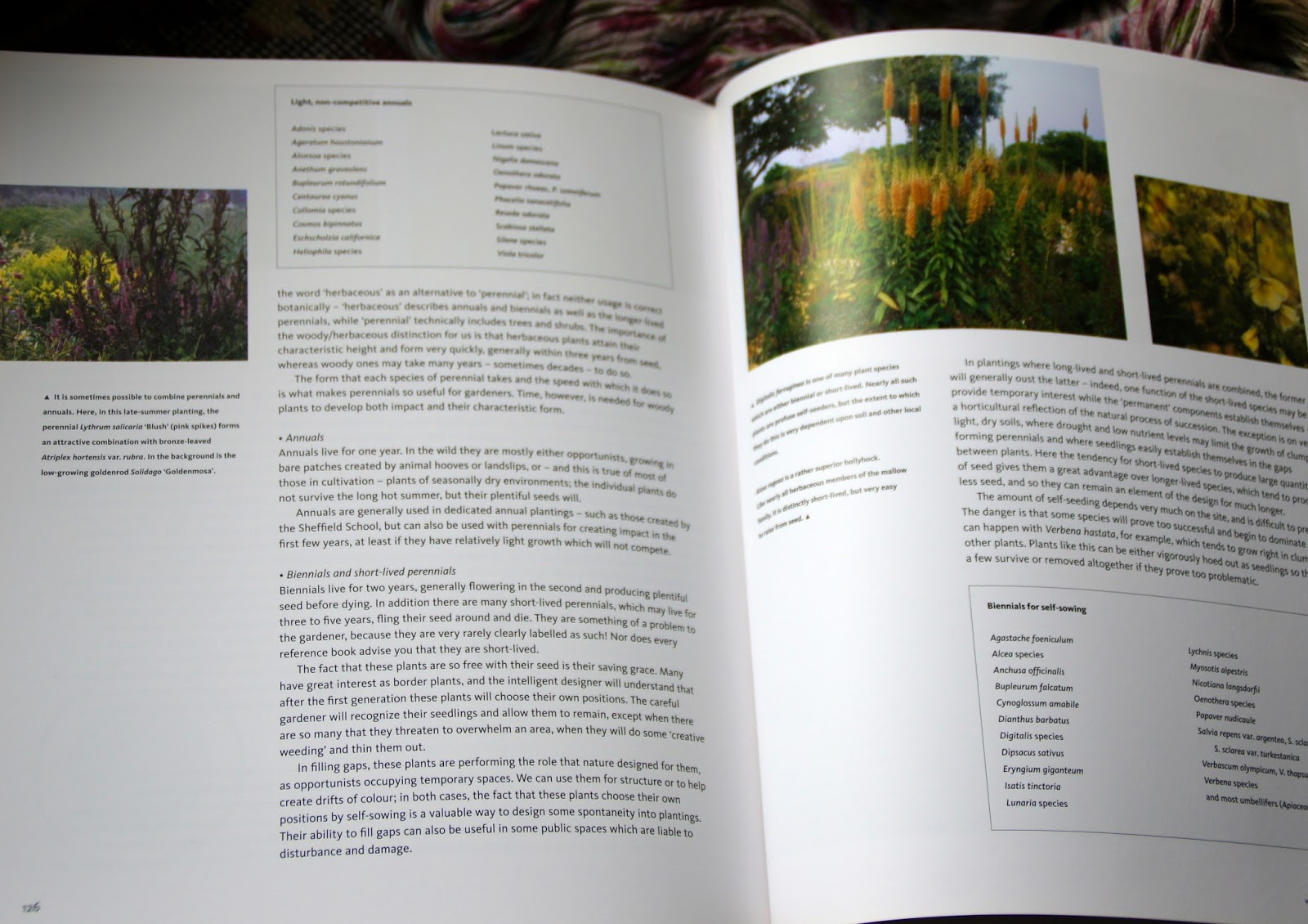Book Review Planting Design by Piet Oudolf and Noel Kingsbury
