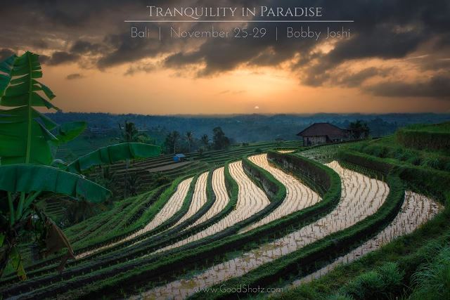 Perfect sunset at Jatiluwih Rice Terrace Ubud Bali,things to do in bali,bali destinations guide map for couples families to visit,bali honeymoon destinations,bali tourist destinations,bali indonesia destinations,bali honeymoon packages 2016 resorts destination images review,bali honeymoon packages all inclusive from india,bali travel destinations,bali tourist destination information map,bali tourist attractions top 10 map kuta seminyak pictures,bali attractions map top 10 blog kuta for families prices ubud,bali ubud places to stay visit see