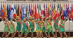 Thoughts to Promote Positive Action... International Tropical Timber