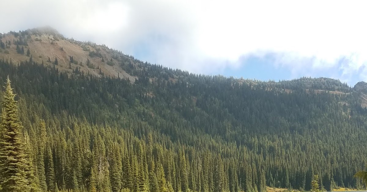 More Life, Less Waste Mad Things Rearrange