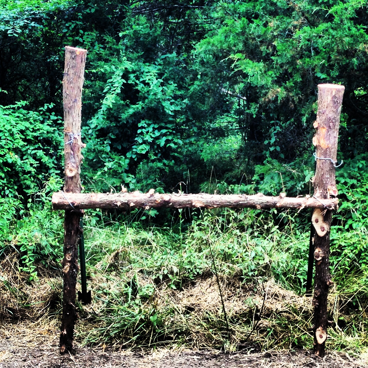 Missouri Hitmen Horizontal Cedar Rubbing Post