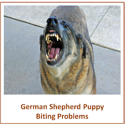 German Shepherd Puppy Biting Problems