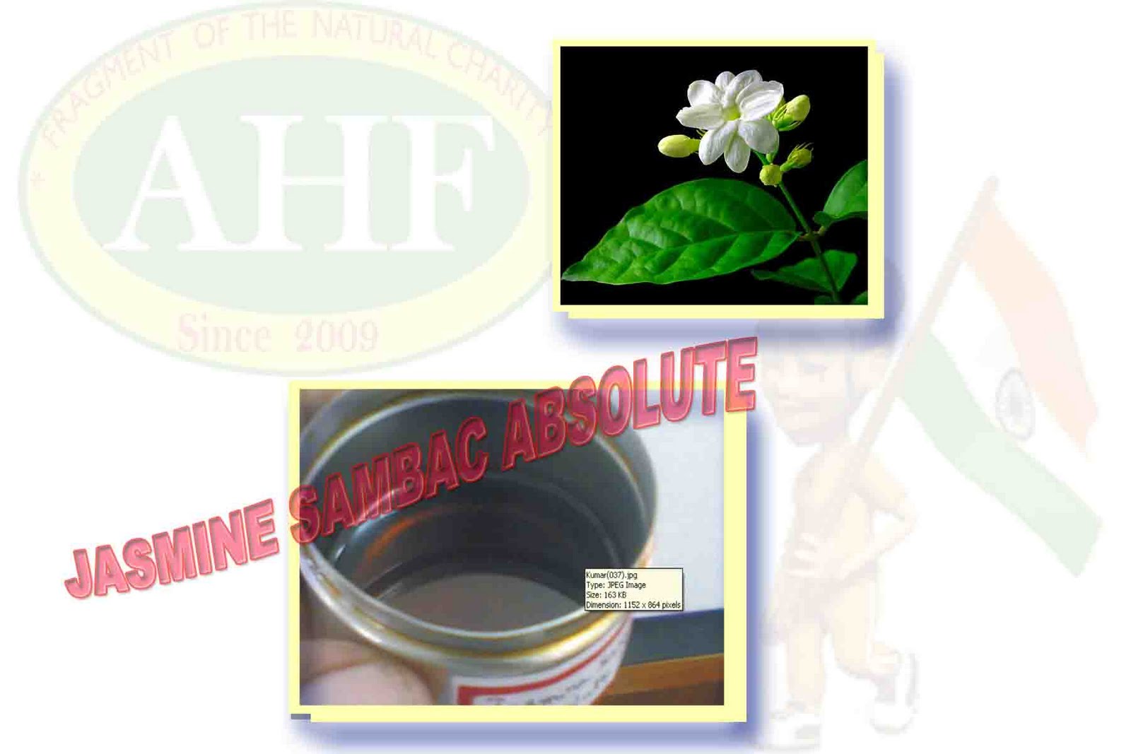 ALLLURED HINDFRAG JASMINE SAMBAC ABSOLUTE ESSENTIAL OIL,JASMINE SAMBAC