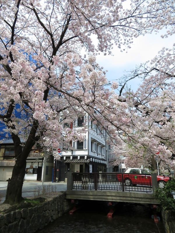 Путешествие по Японии весной 2020 года. Киото без туристов