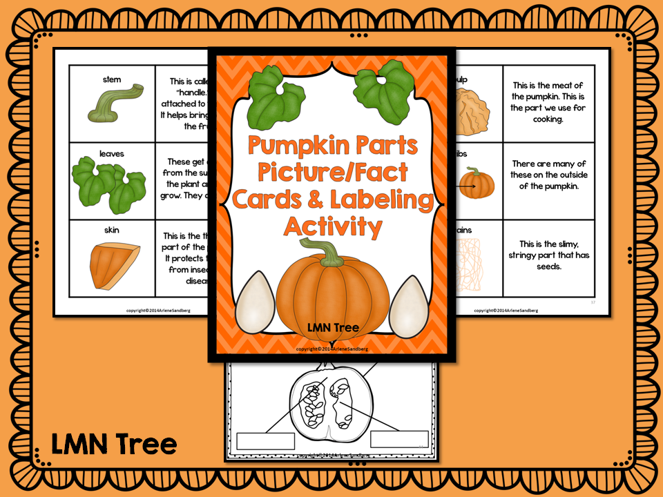 Pumpkin Parts Picture/Fact Cards Matching and Labeling Activity Packet
