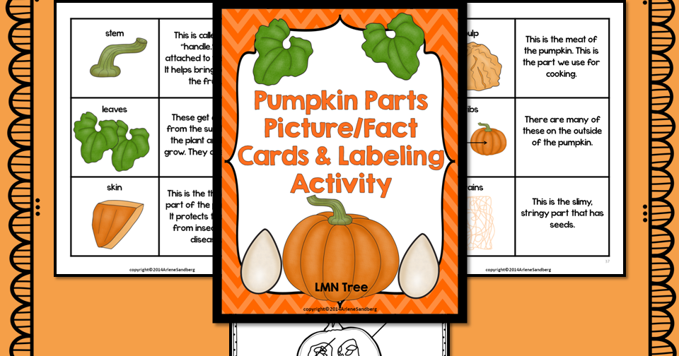 Classroom Freebies: Pumpkin Parts Picture/Fact Cards Matching and