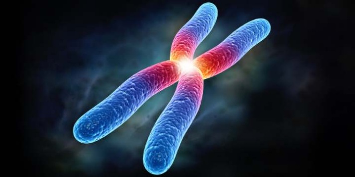 Divide - definition of divide by The Free Dictionary