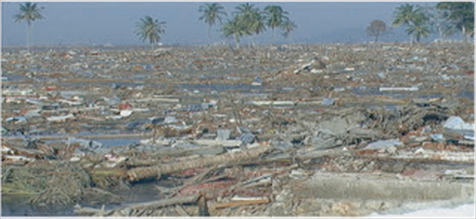 kliping bencana alam wood scribd indo