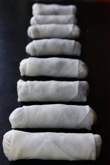 fried spring rolls