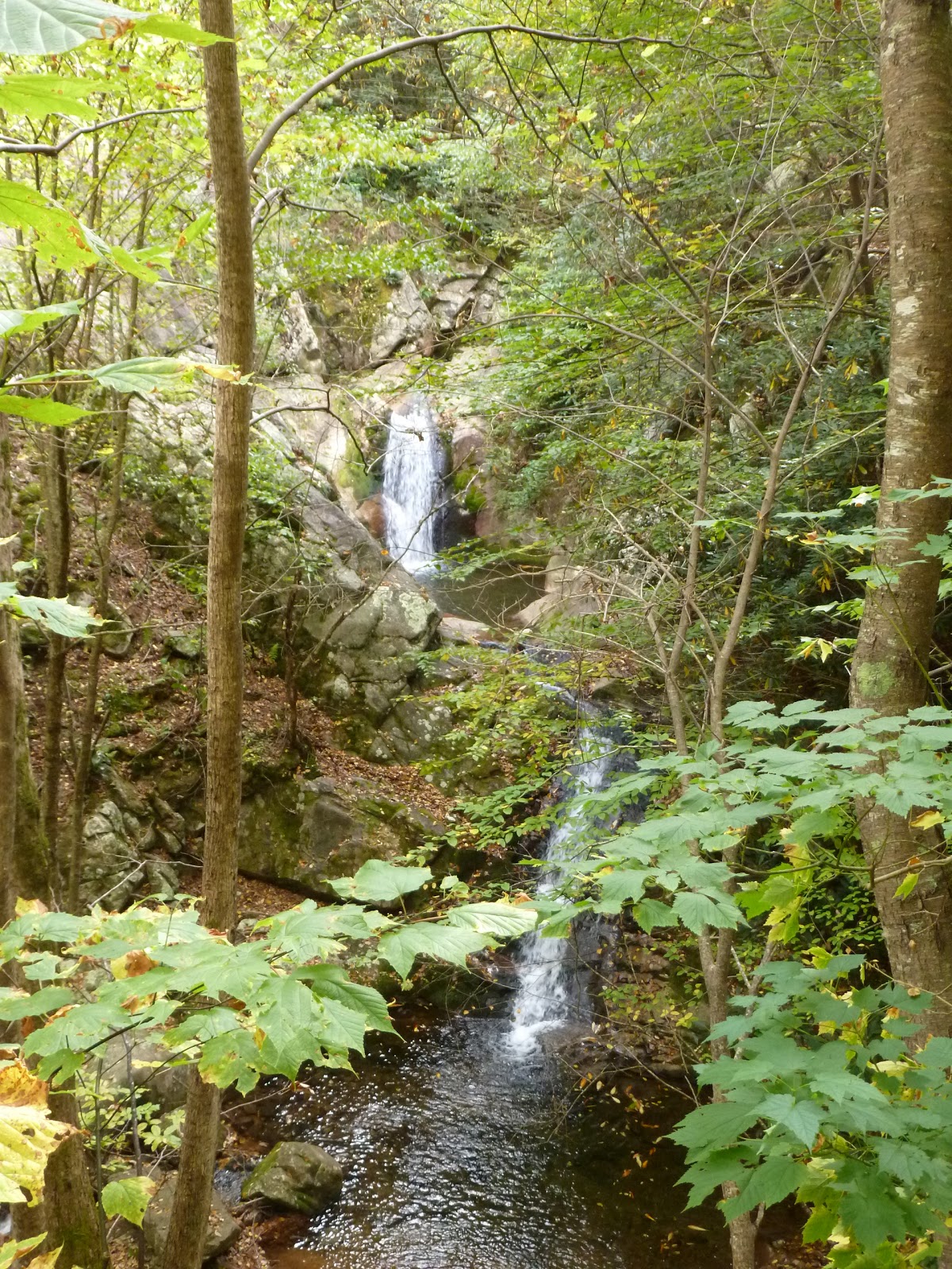 The Continuing Adventures of Eric, Noelle and Sierra Lost Cove, North