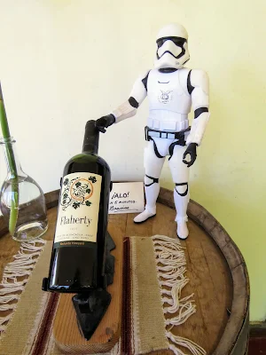 Day trips from Santiago: storm trooper and a bottle of wine from Flaherty Wines in Aconcagua Valley