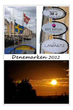 Vakantie denemarken