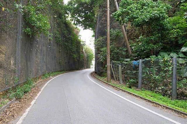 Waitui Farmers Road