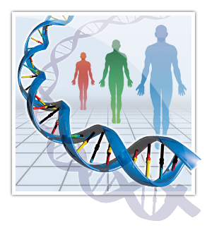 Modern Science refutes the Evolutionary theory: Rapid human genetic
