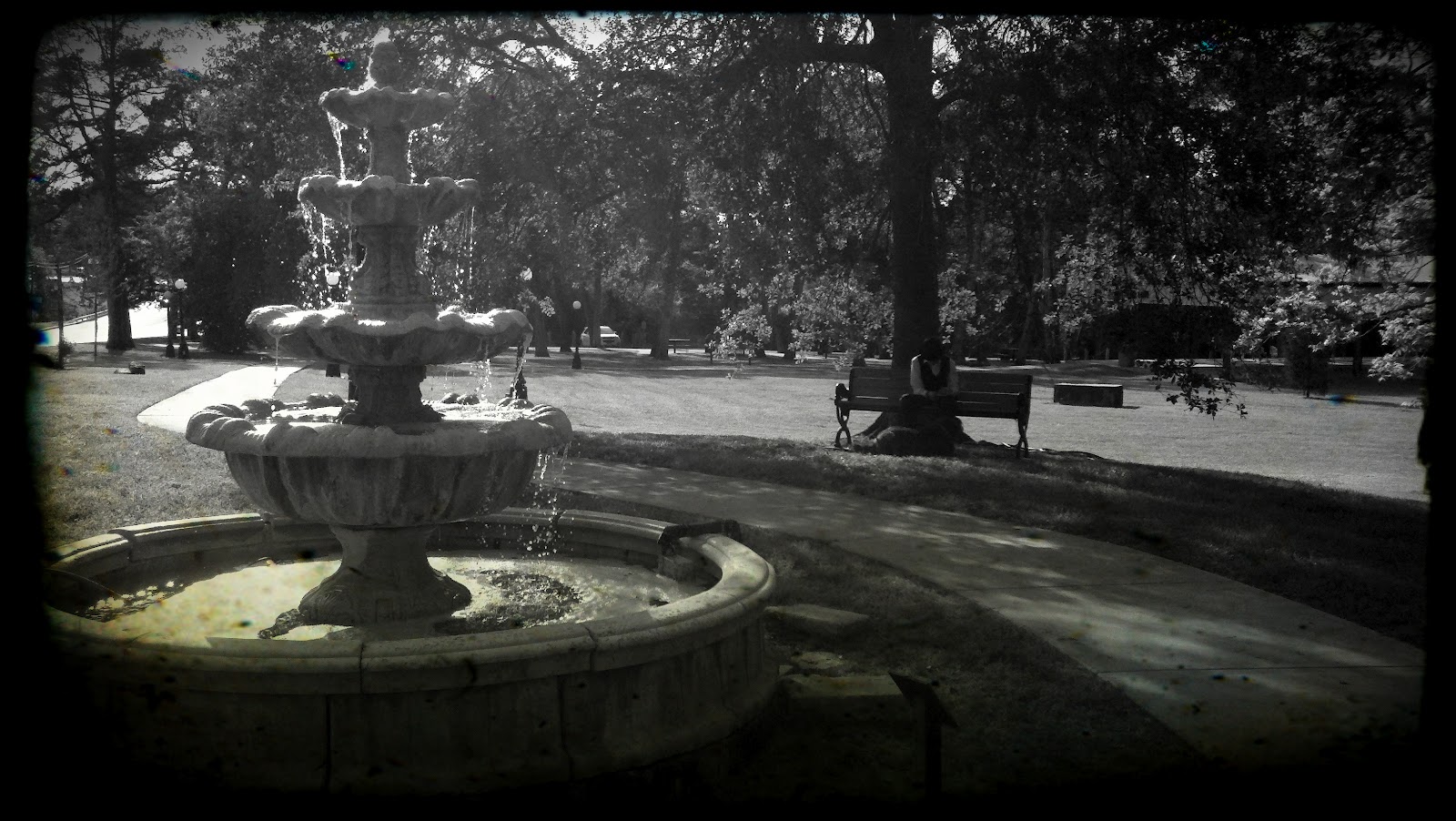 Retrieving Montgomery Cedar Brake Park