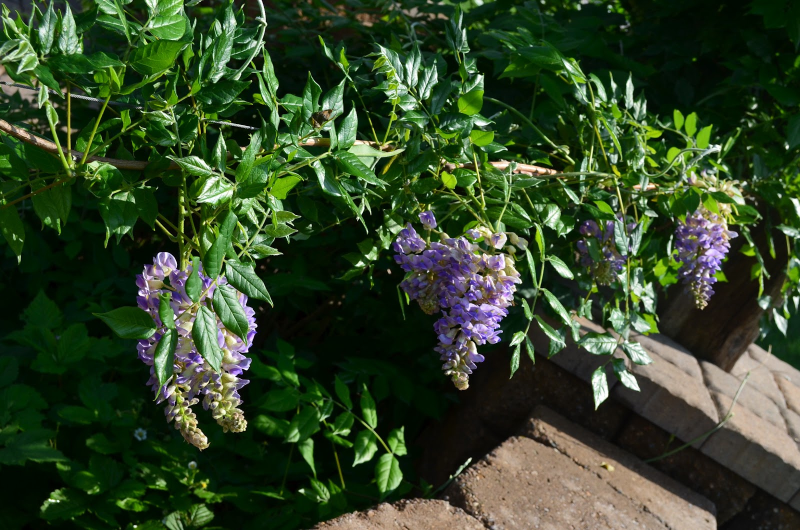 Val Burgess Collage: Spring at the Burgess's Home