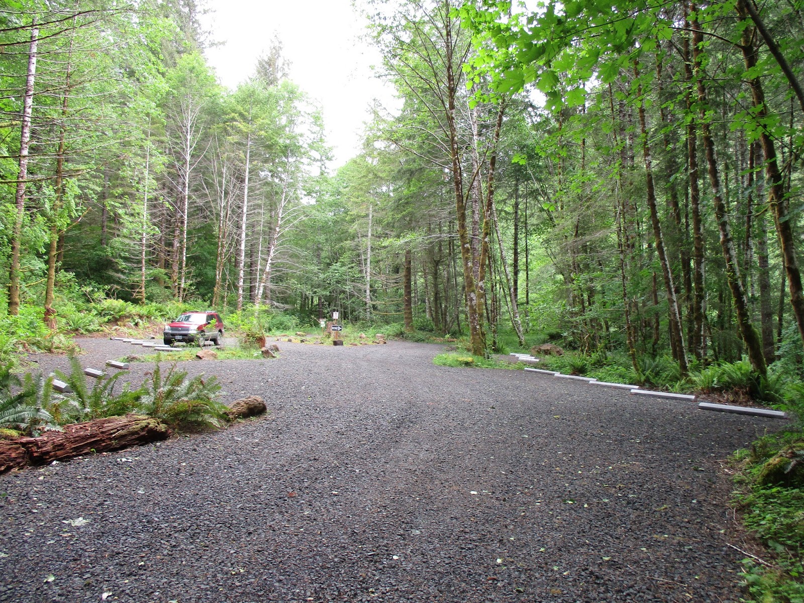 Tillamook State Forest Blog Elk Creek Campground Opens with Expanded Trailhead Parking