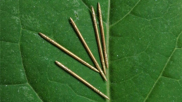 susuk susuk