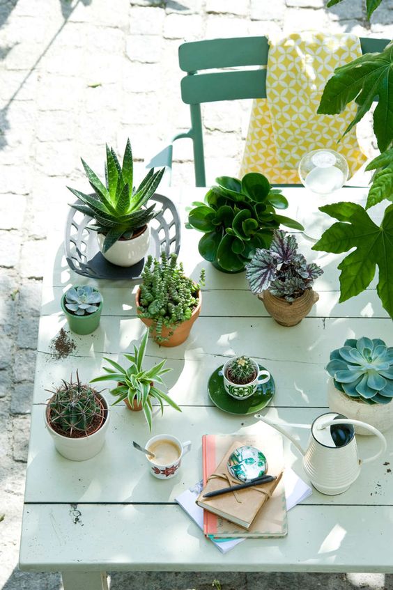 Happy Interior Blog: Urban Jungle Bloggers: Watering Your Plants