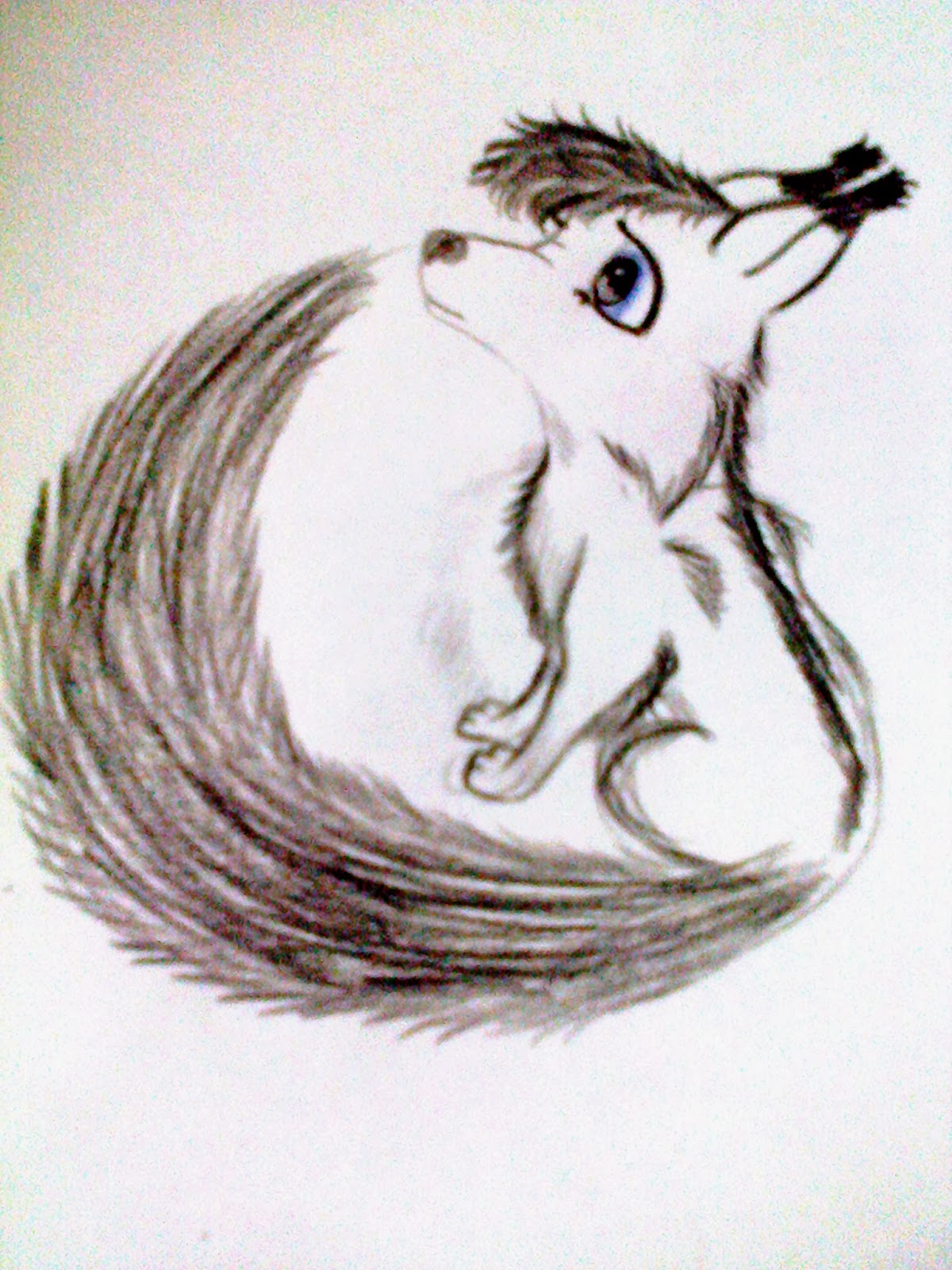 Rysunek - Moja pasja : Rysunki wilków