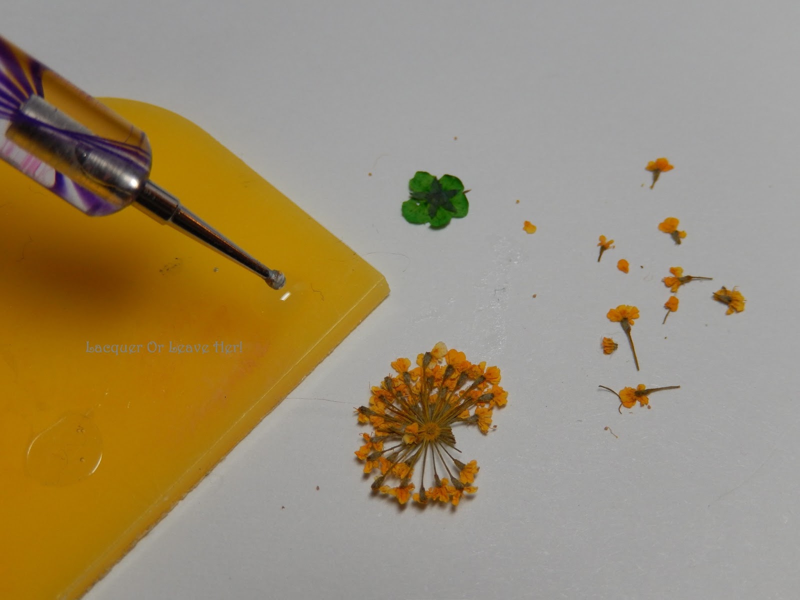 Lacquer or Leave Her! Tutorial Working with dried flowers )