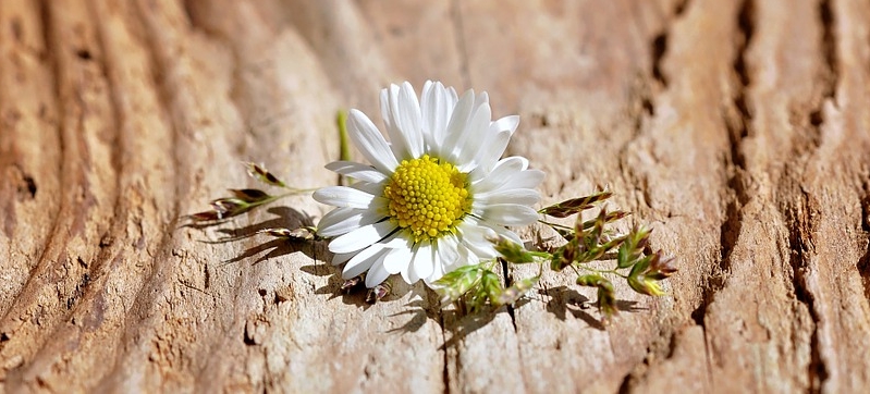 ODNALEŹĆ MŁODOŚĆ CZ. II