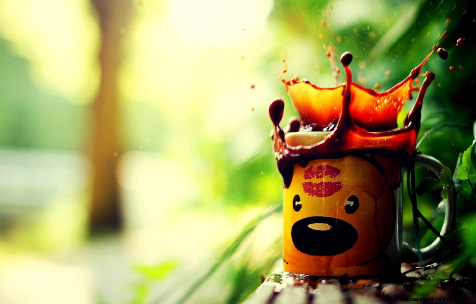 Cup Teddy Bear Coffee Spray Splash HD Wallpaper   FreeWallsUp